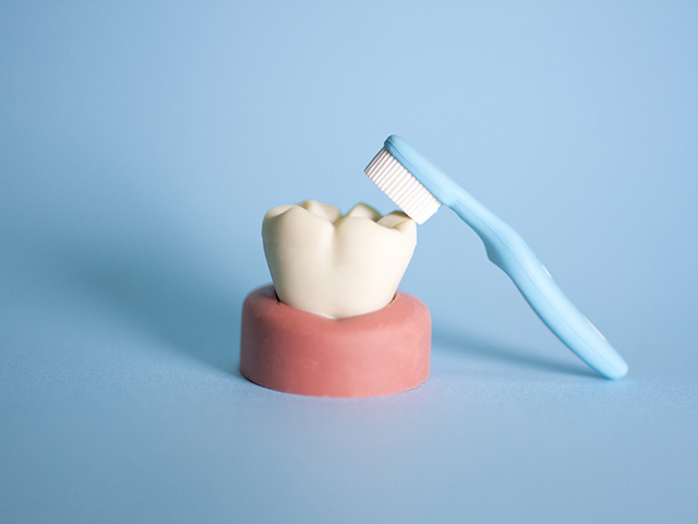 ブラッシング指導